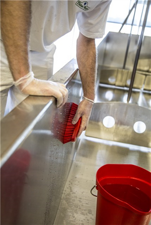 Vikan 38902 Szczotka ręczna, rozmiar (L), duża, 200 mm, twarda, zielona